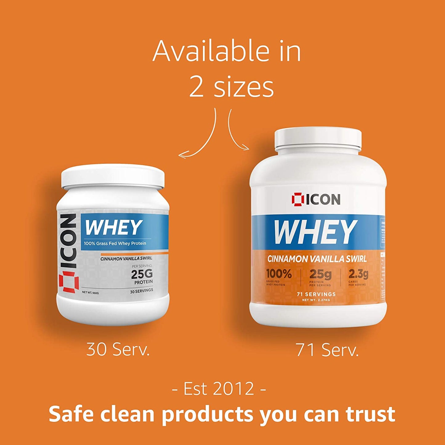 Best Whey Protein ICON Nutrition