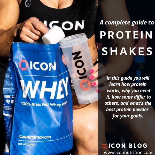 Protein Shakers - Everything you need to know about Whey Protein Shakes - ICON Nutrition