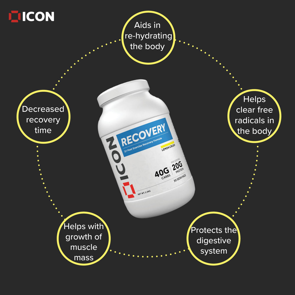 
                  
                    Recovery Protein 2:1 Ratio (30 Serv.) - ICON Nutrition
                  
                