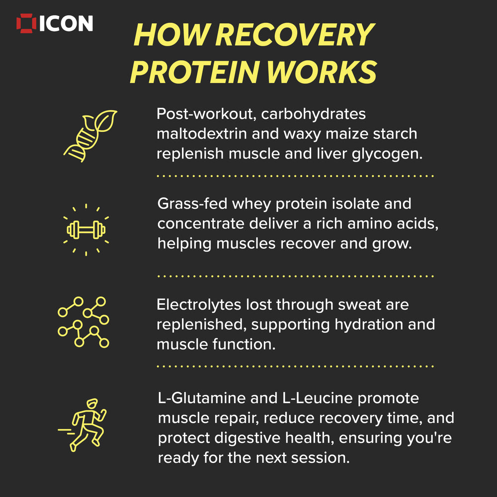 
                  
                    Recovery Protein 2:1 Ratio (30 Serv.) - ICON Nutrition
                  
                