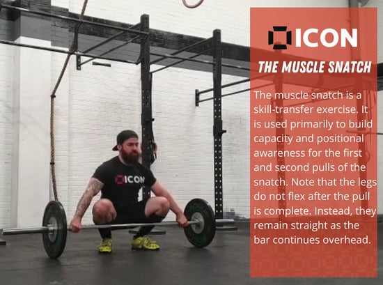 Free Snatch Program - ICON Nutrition