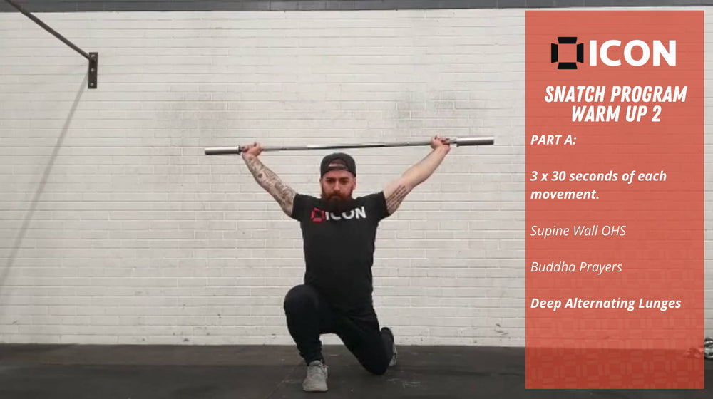 
                  
                    Free Snatch Program - ICON Nutrition
                  
                